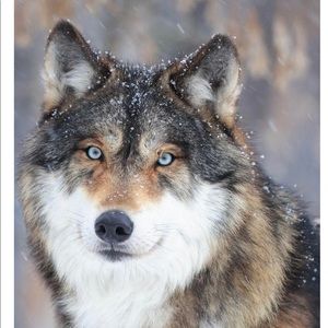 Meet your Posher, June